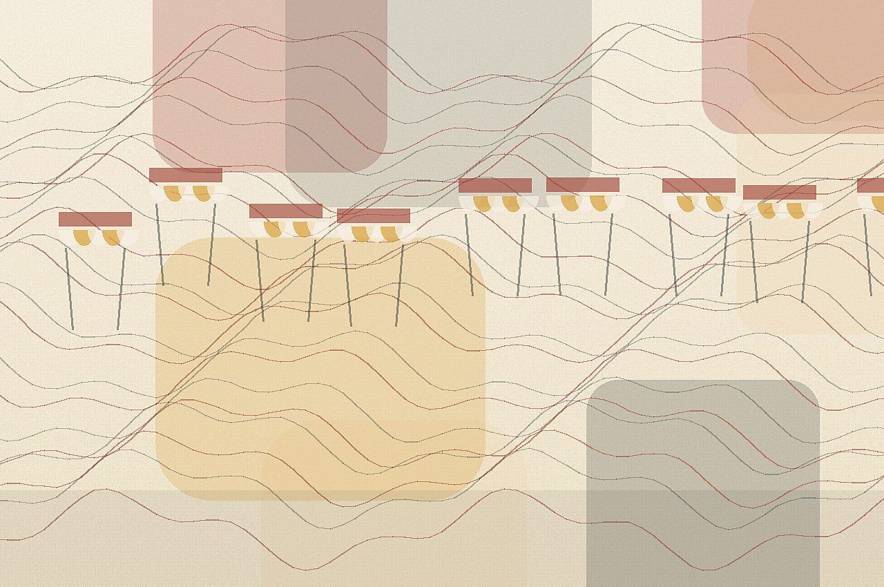 Illustration du guide You Sushi Pau se choisit entre Pau Centre et Lons